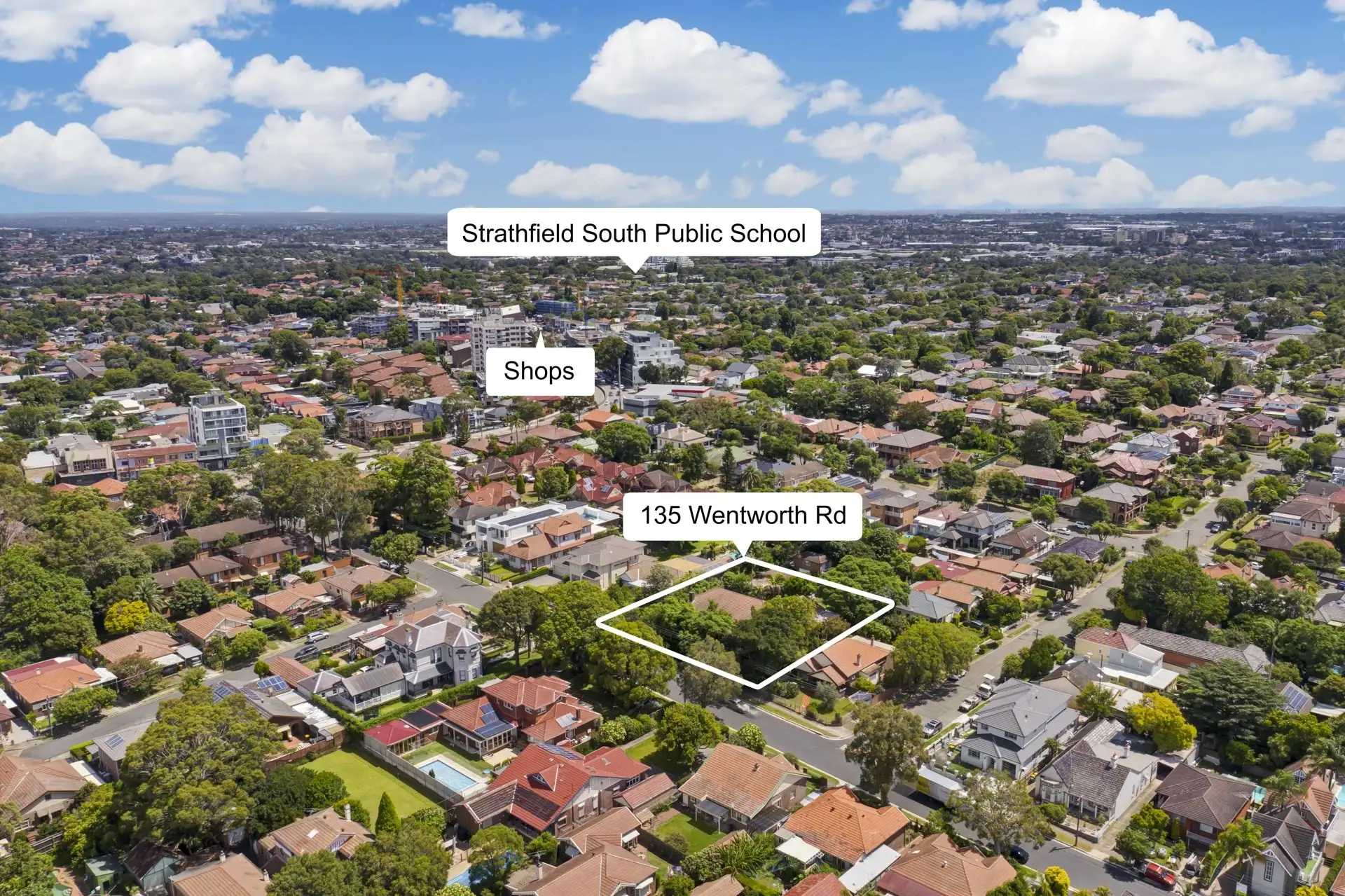 135 Wentworth Road, Strathfield Sold by Richard Matthews Real Estate - image 10
