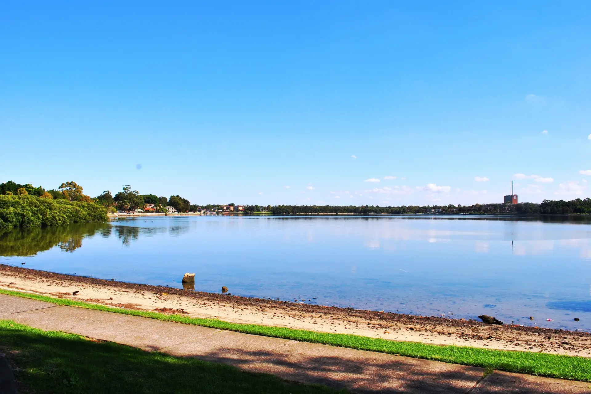 29 Wymston Parade, Five Dock Leased by Richard Matthews Real Estate - image 1