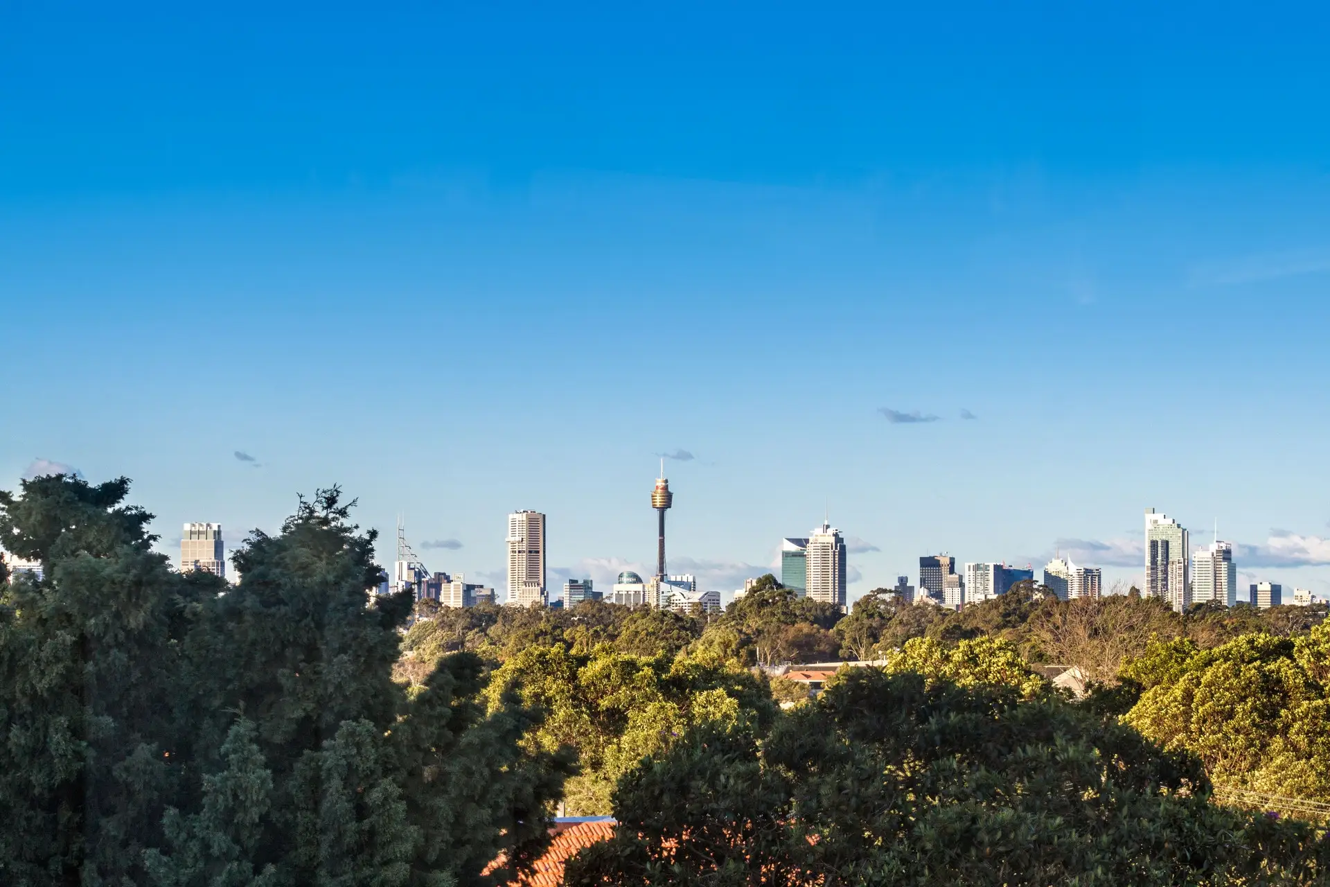 119-121 Ramsay Street, Haberfield Sold by Richard Matthews Real Estate - image 8