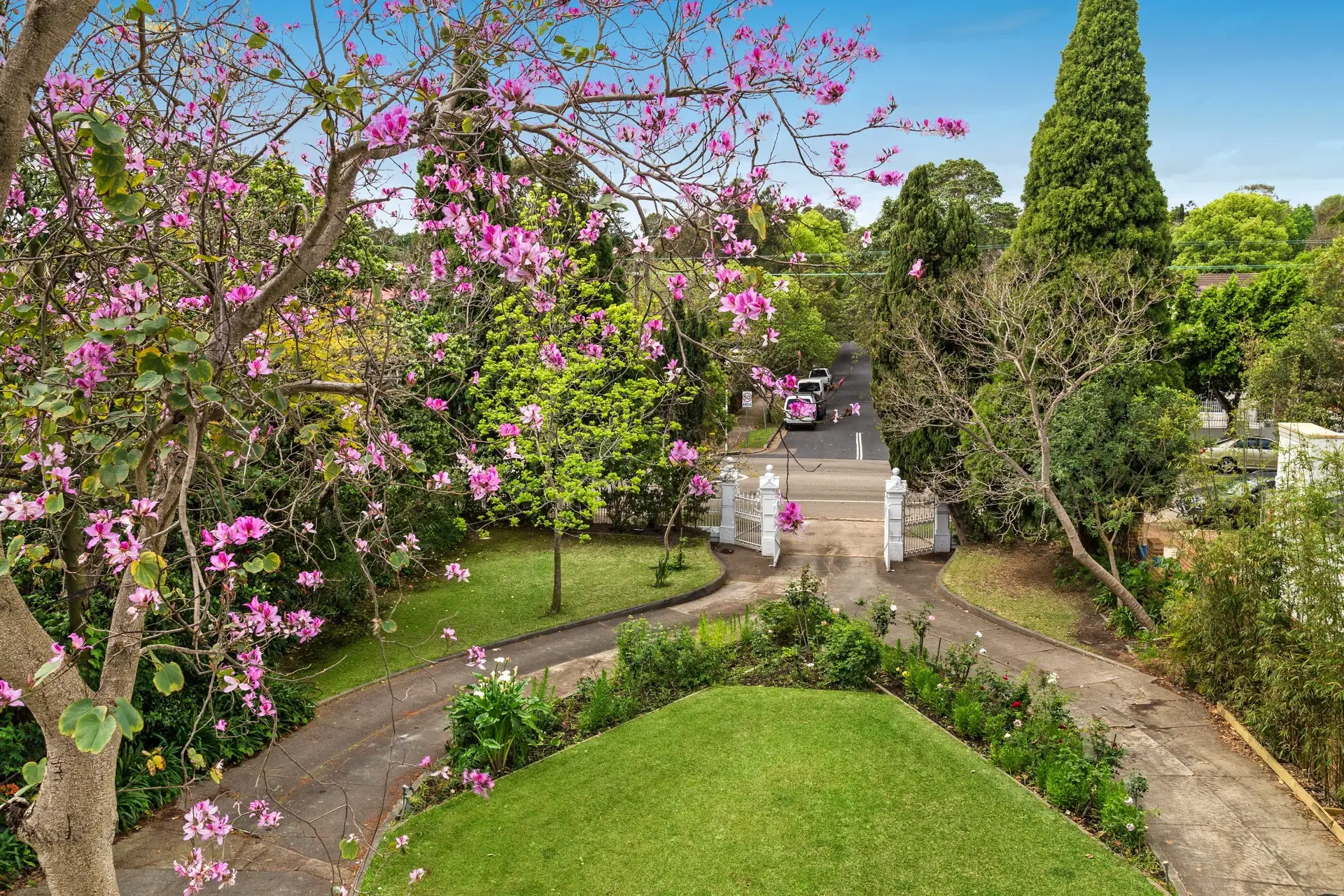81 Homebush Road, Strathfield Sold by Richard Matthews Real Estate - image 7