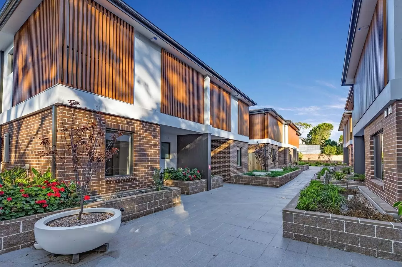 10/43 Mackenzie Street, Strathfield Sold by Richard Matthews Real Estate - image 10