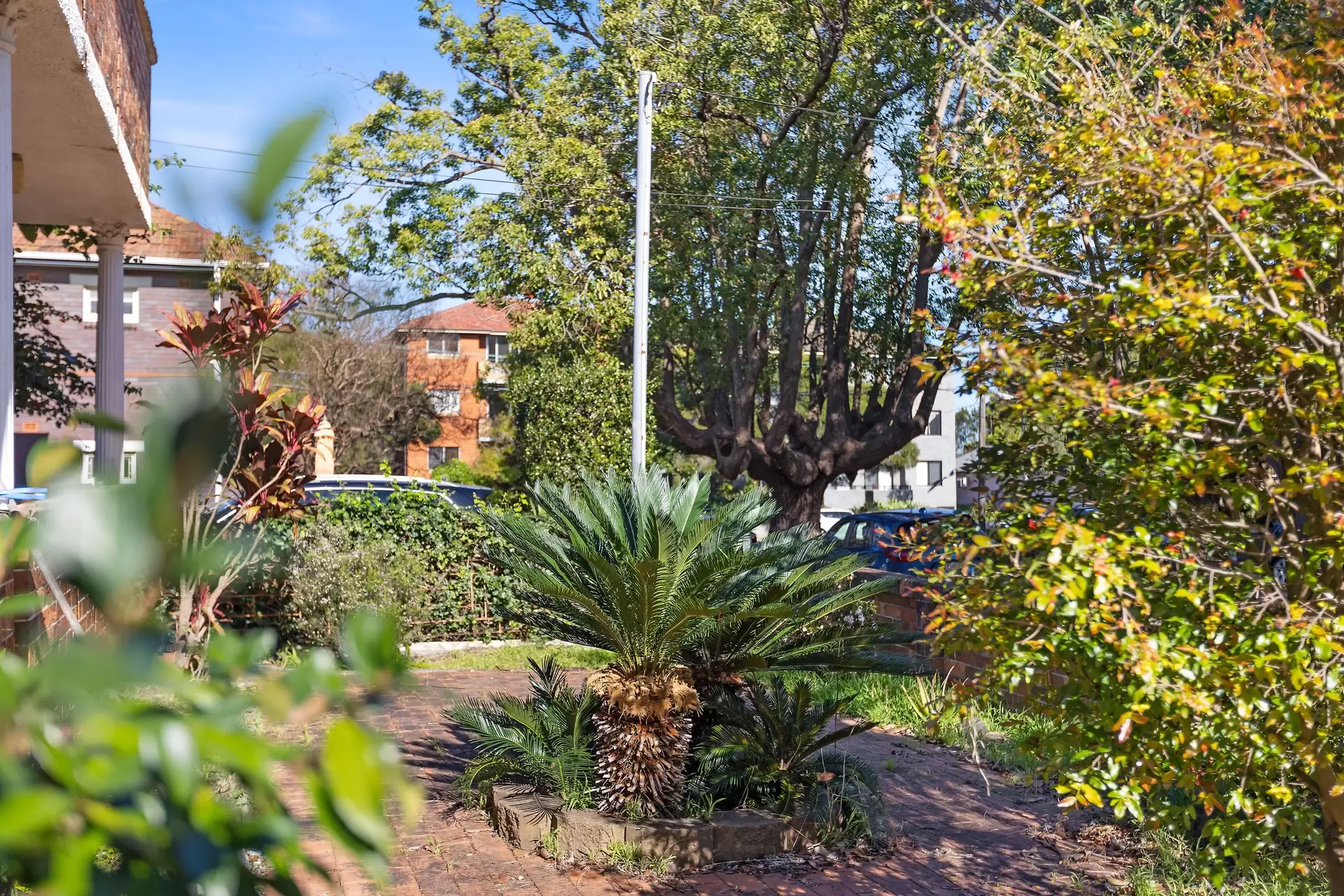 66 Canonbury Grove, Dulwich Hill Sold by Richard Matthews Real Estate - image 6