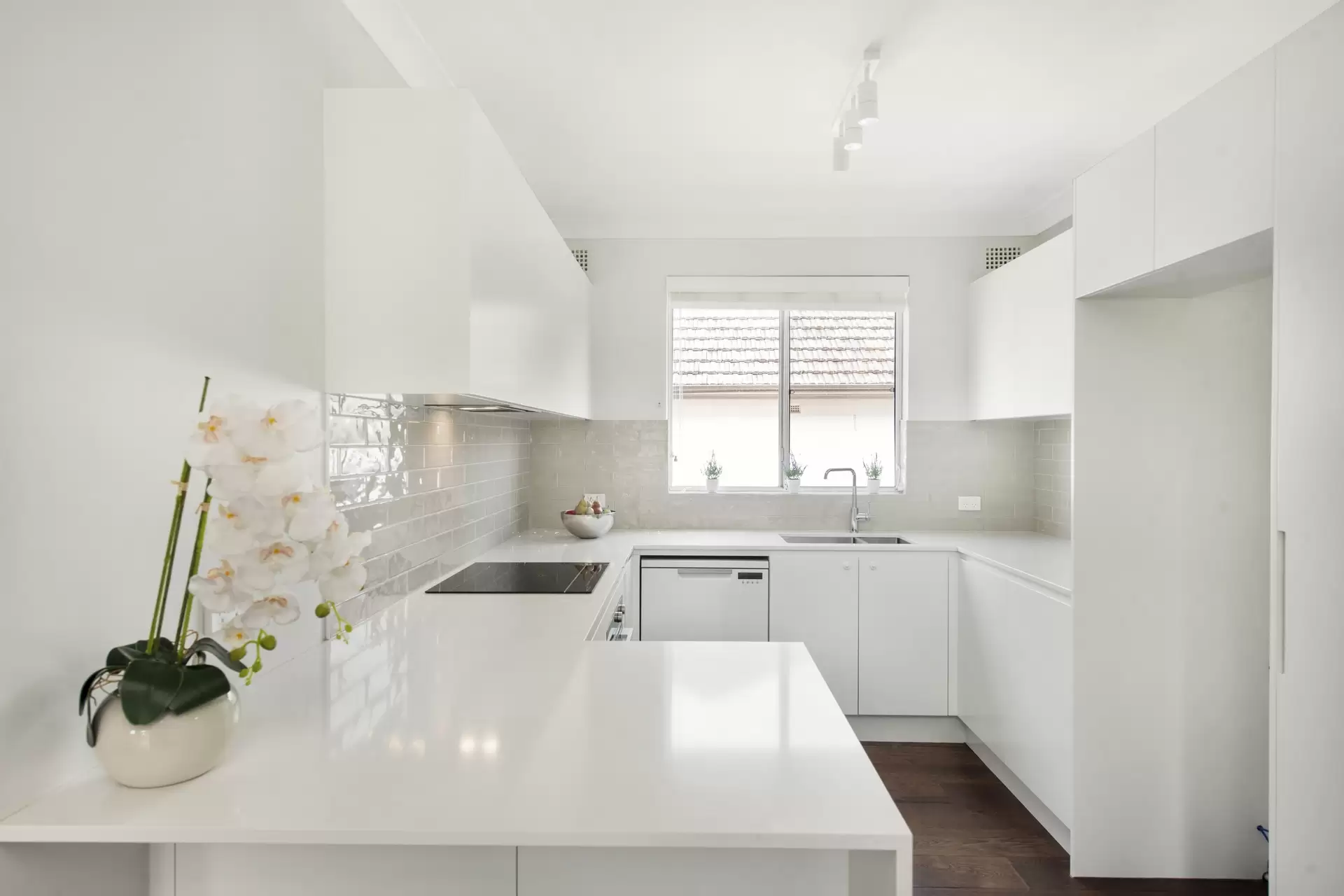 1/4 Stanton Road, Haberfield Sold by Richard Matthews Real Estate - image 3