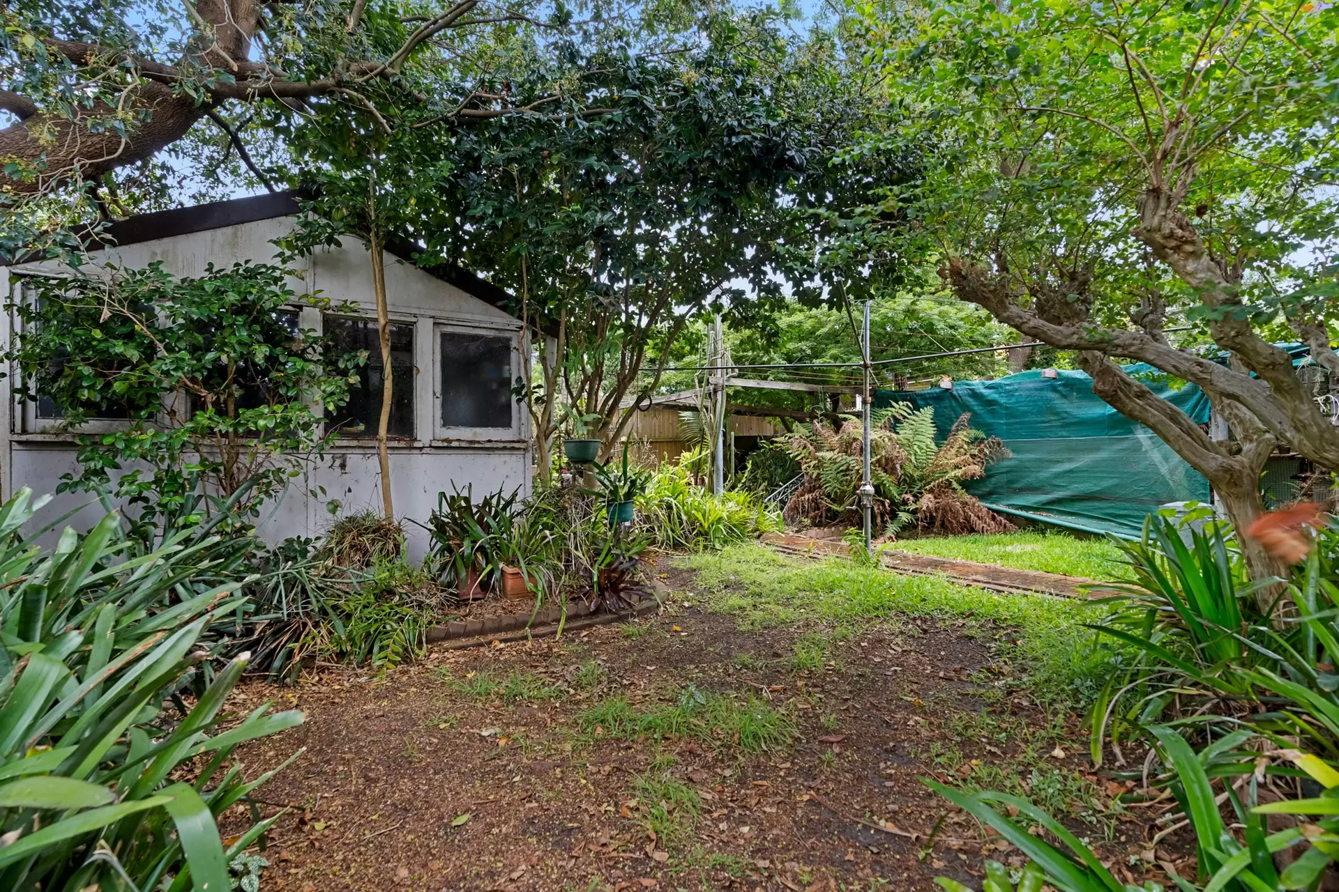 63 Arthur Street, Ashfield Sold by Richard Matthews Real Estate - image 5
