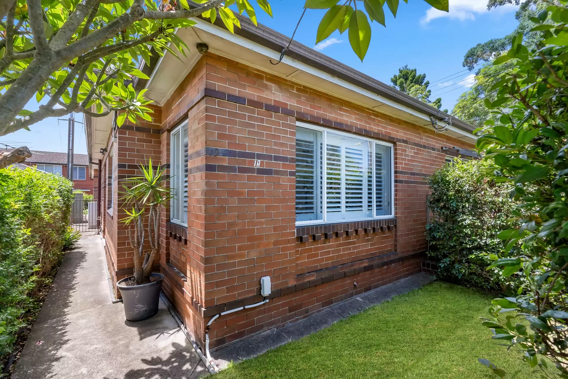 1a Anthony Street, Croydon Sold by Richard Matthews Real Estate - image 1