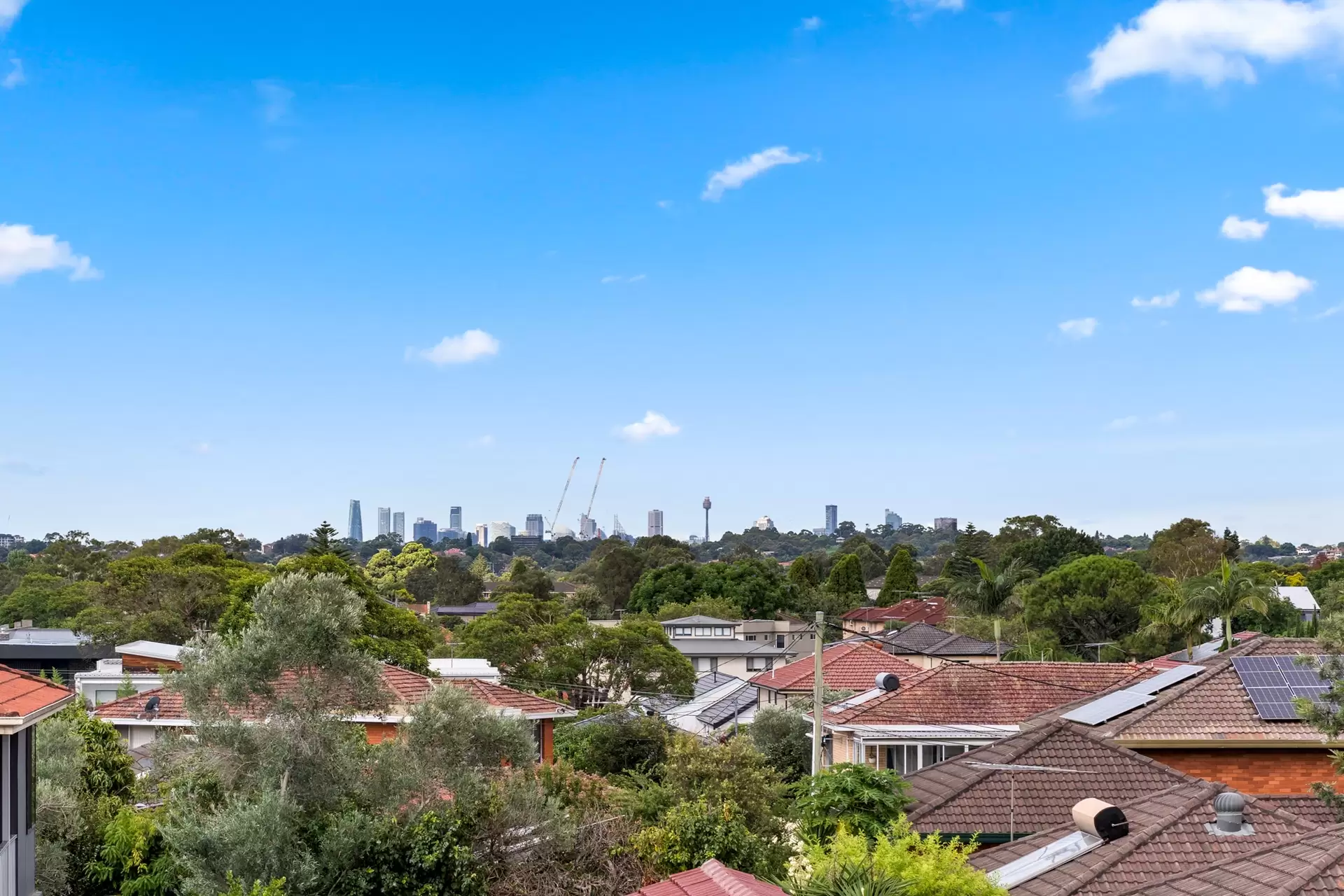 79 Bruce Avenue, Belfield Sold by Richard Matthews Real Estate - image 17