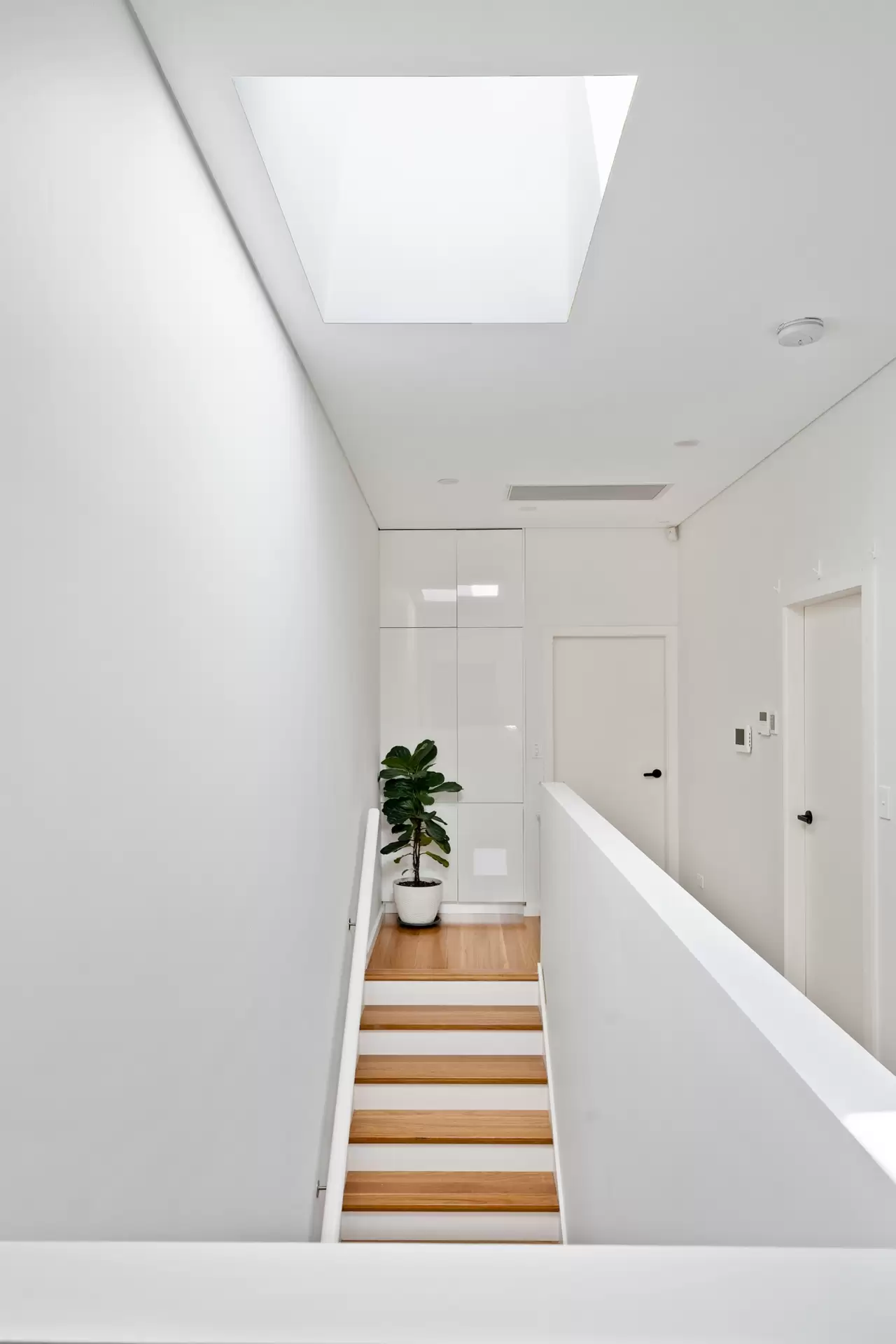 7B Comet Street, Ashfield Sold by Richard Matthews Real Estate - image 5