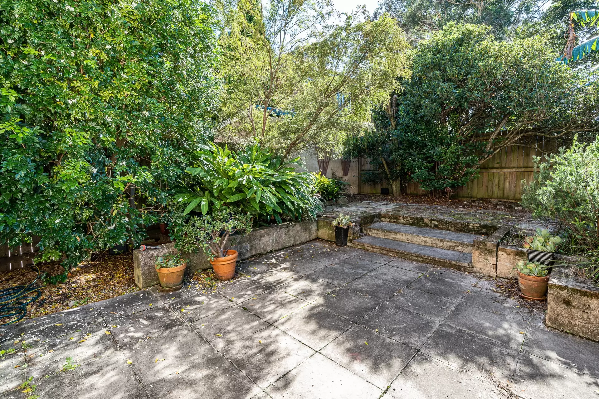 1/91 Charlotte Street, Ashfield Leased by Richard Matthews Real Estate - image 7