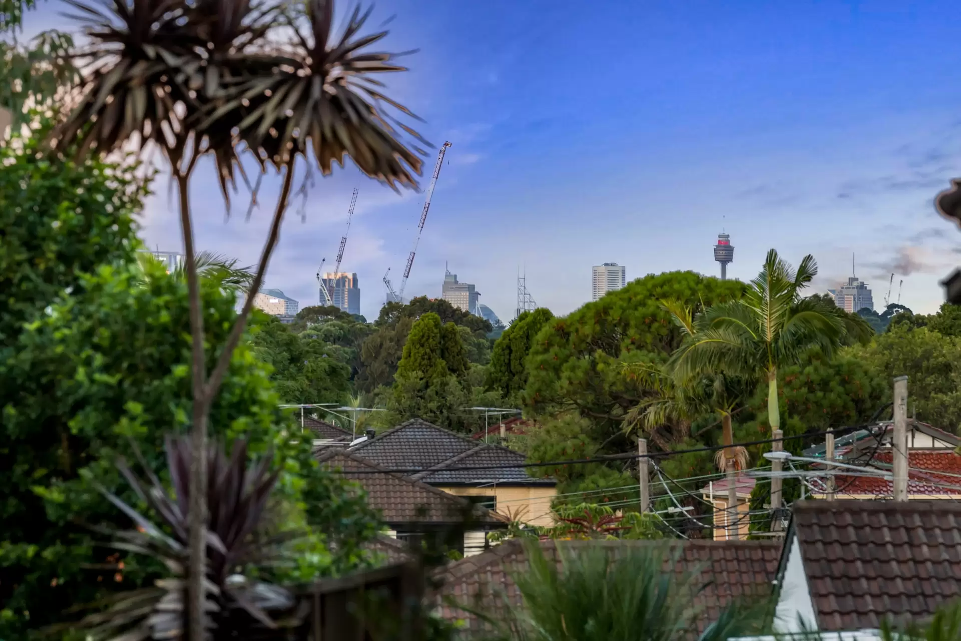 77 Bruce Avenue, Belfield Sold by Richard Matthews Real Estate - image 7