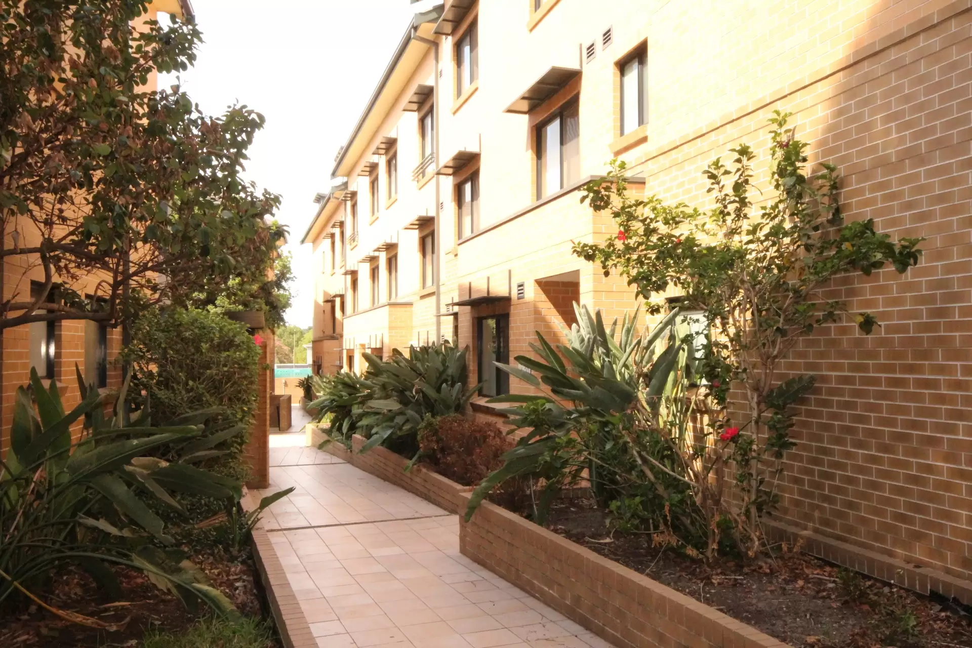12/9 Anselm Street, Strathfield South Leased by Richard Matthews Real Estate - image 8