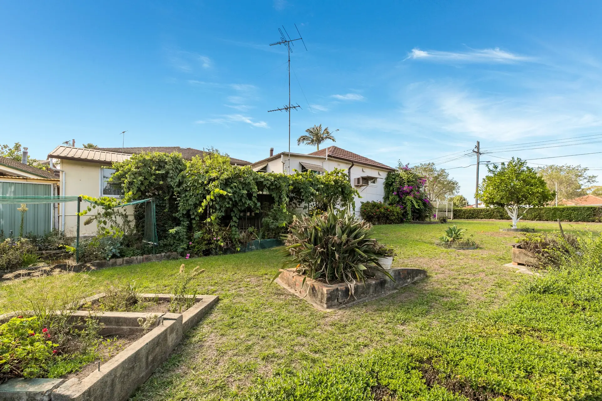 42 Birdwood Road, Georges Hall Sold by Richard Matthews Real Estate - image 4