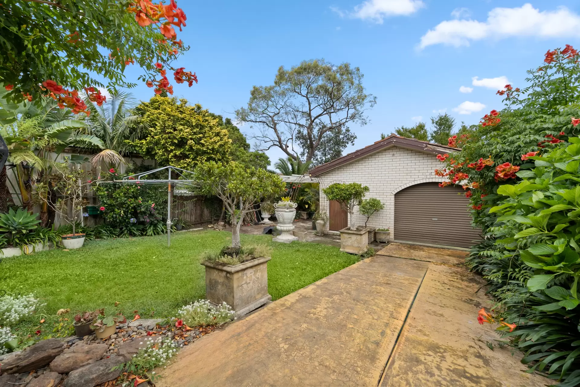 5 Yabsley Avenue, Ashfield Sold by Richard Matthews Real Estate - image 6