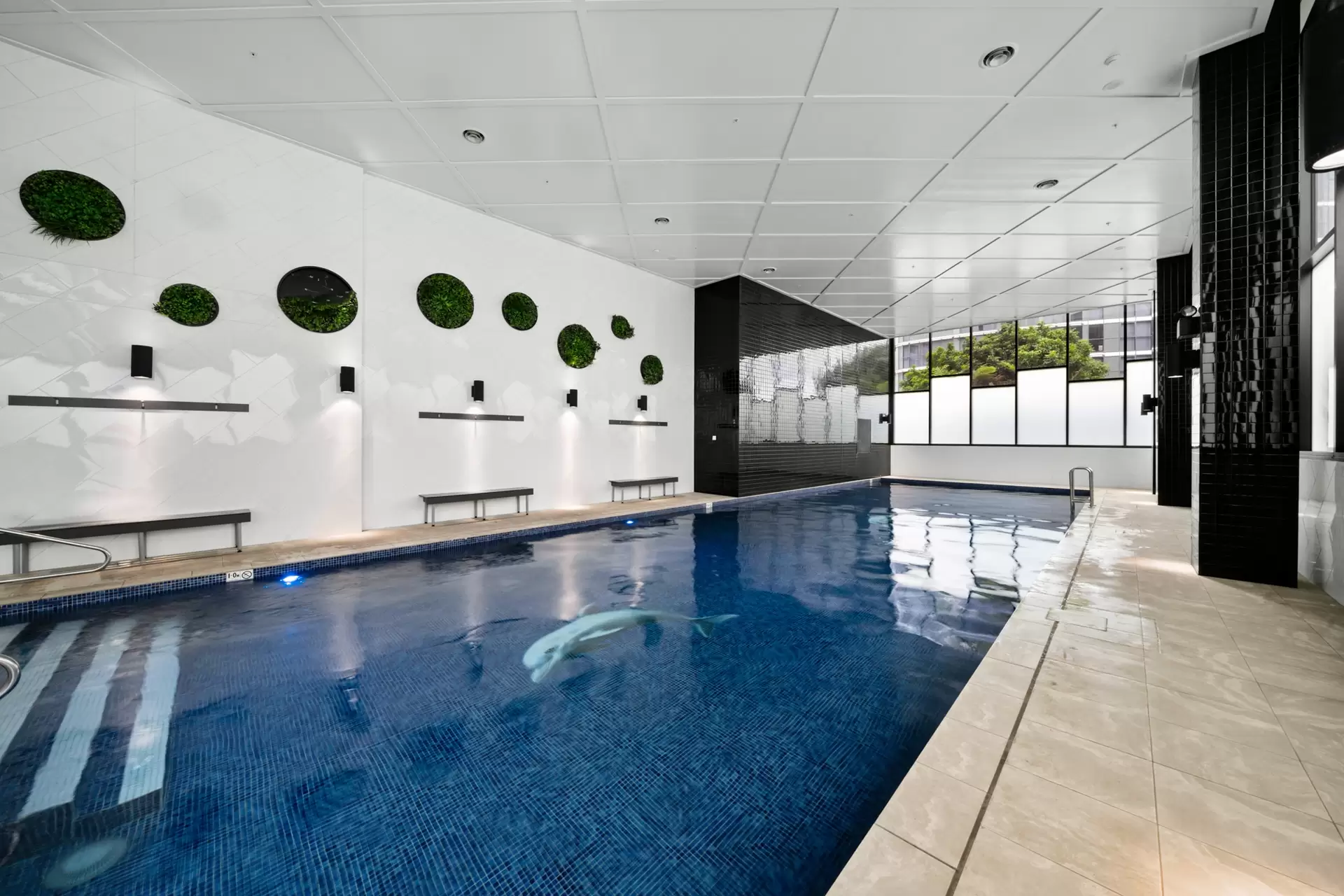 1041/11 Canning Street, Lidcombe Sold by Richard Matthews Real Estate - image 6