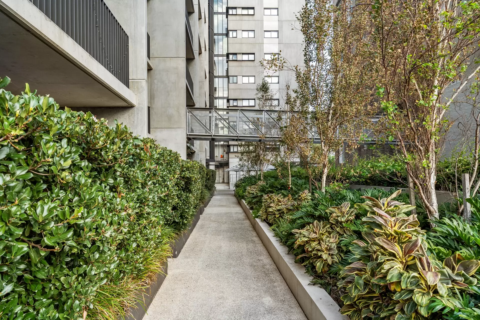705/7 Mungo Scott Place, Summer Hill Sold by Richard Matthews Real Estate - image 8