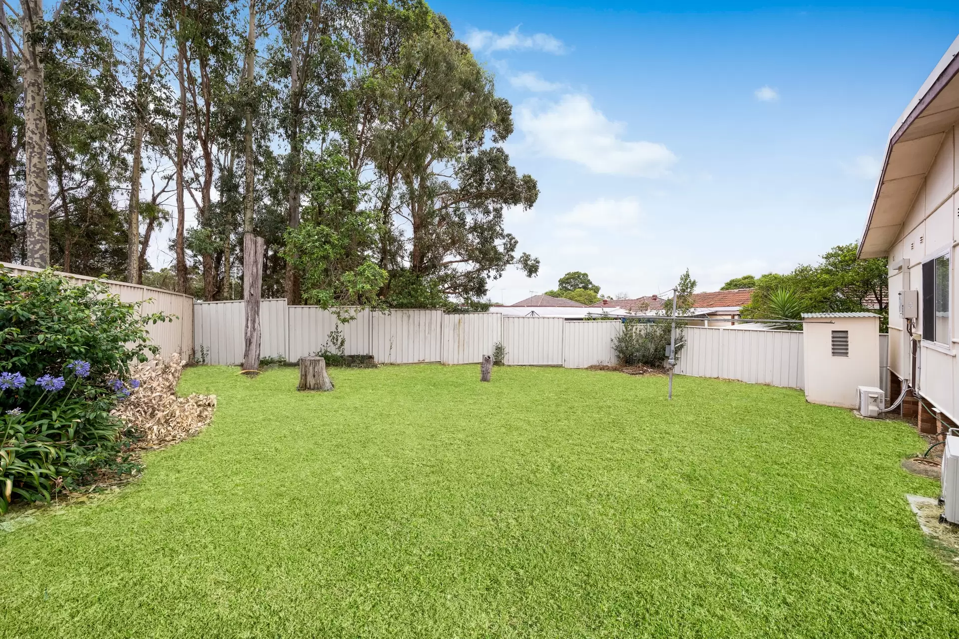 29 Marion Street, Blacktown Sold by Richard Matthews Real Estate - image 3