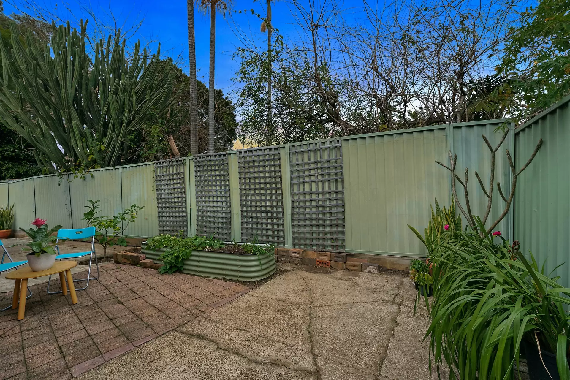 5 Wattle Street, Enfield Leased by Richard Matthews Real Estate - image 7