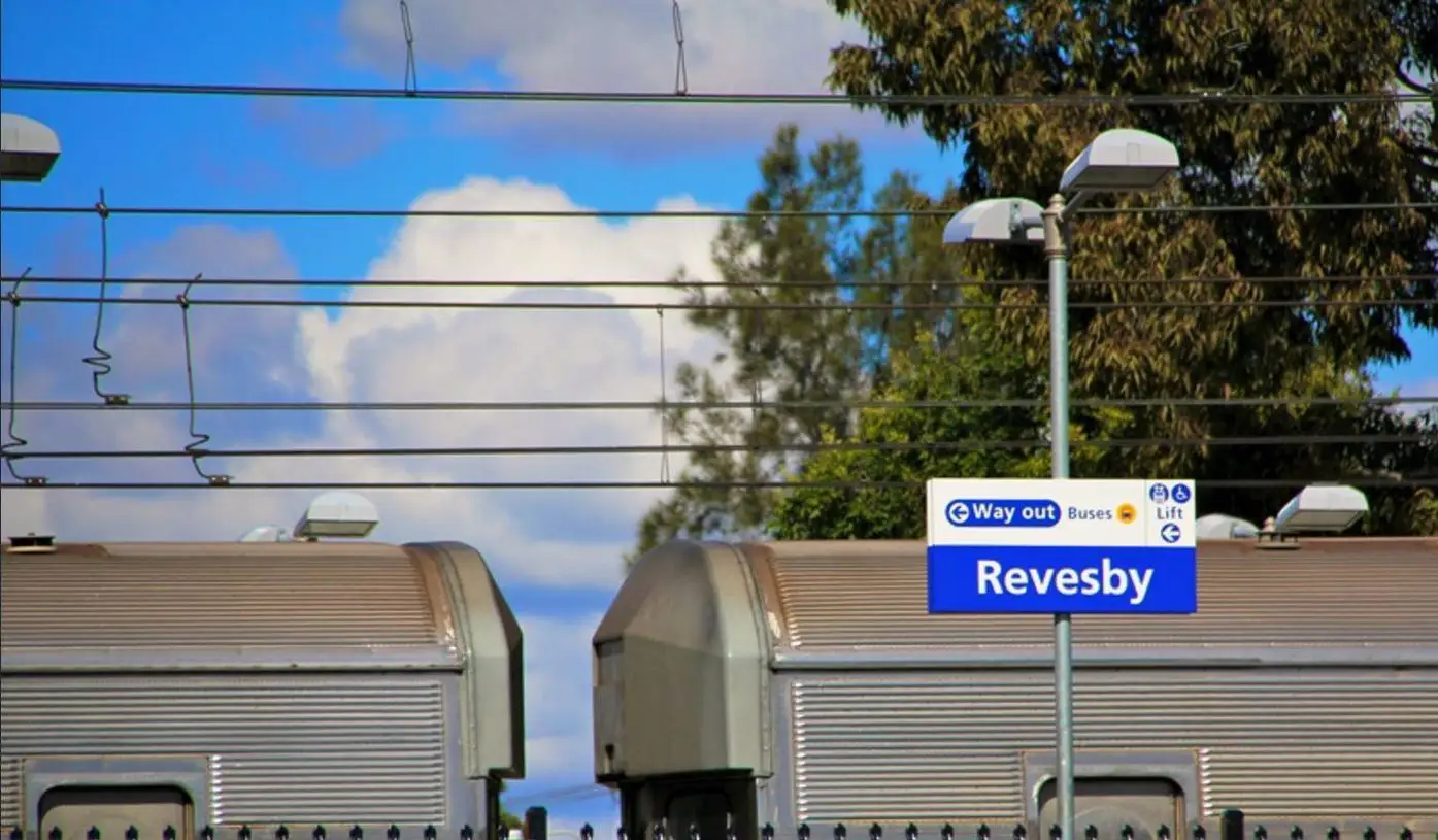 17 Snowsill Avenue, Revesby Sold by Richard Matthews Real Estate - image 7