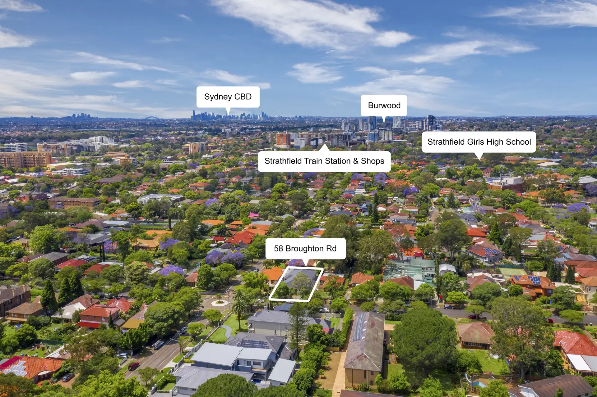 58  Broughton Road, Strathfield Sold by Richard Matthews Real Estate - image 9